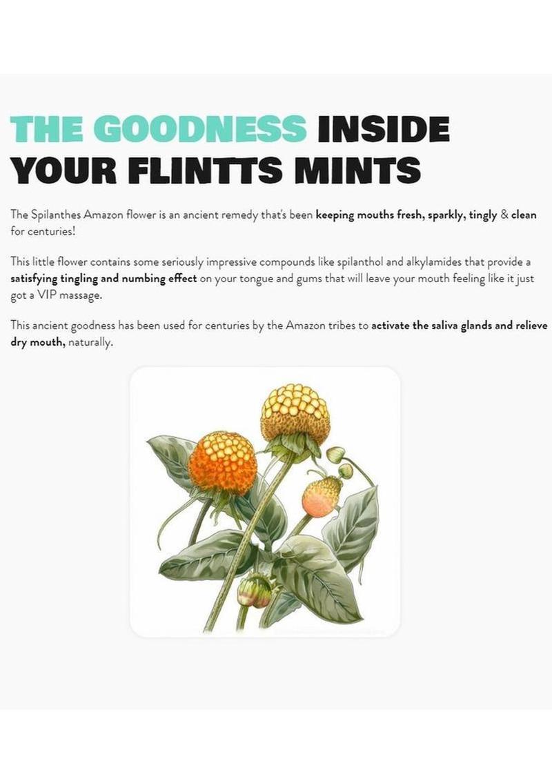 Flintts Mints Mouth Watering Oral Delights - Mint (F Strength 200) ingredient explanation of Spilanthes Amazon flower