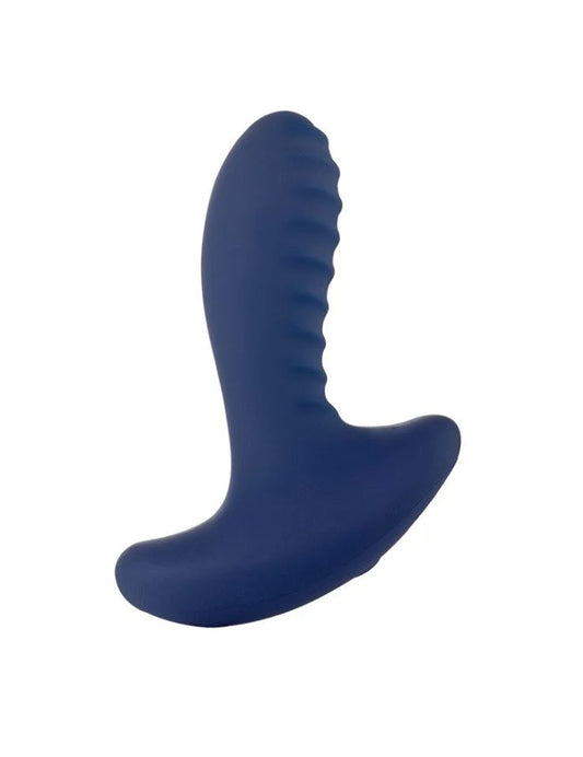 Pure Romance Secret Touch Anal Vibrator – touch-activated toy with ridged shaft and curved base