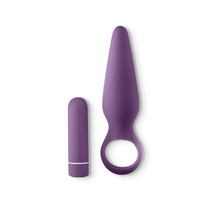 Pure Romance 5th base vibrating anal plug plus removeable bullet. 