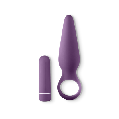 Pure Romance 5th base vibrating anal plug plus removeable bullet. 